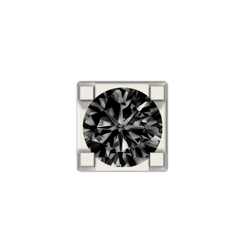 Witgouden element met zwarte diamant 005