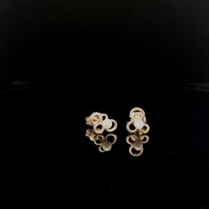 Stekers met ringetjes en een pareltje